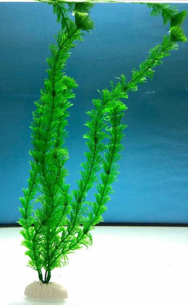 Künstliche Aquarienpflanze Egeria densa Nachbildung ca. 40 cm