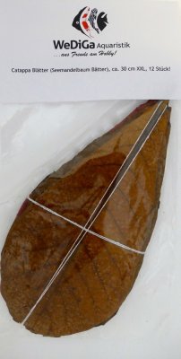 WeDiGa Seemandelbaumblätter XL 10 Stck. (XL=ca.20- 30 cm)